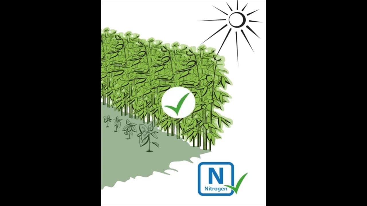 c&c toolbox Cover Crops Luganda