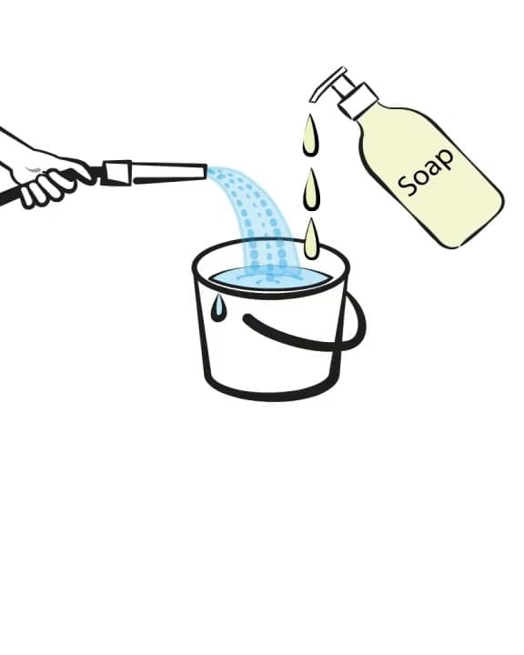 Bottle traps against pest beetles in coffee production – A step-by-step tutorial Bottle traps against pest beetles in coffee production – A step-by-step tutorial